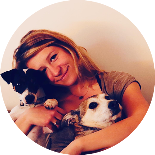 Clinique vétérinaire du Valvert à Ecully près de Tassin La demi Lune, Lyon